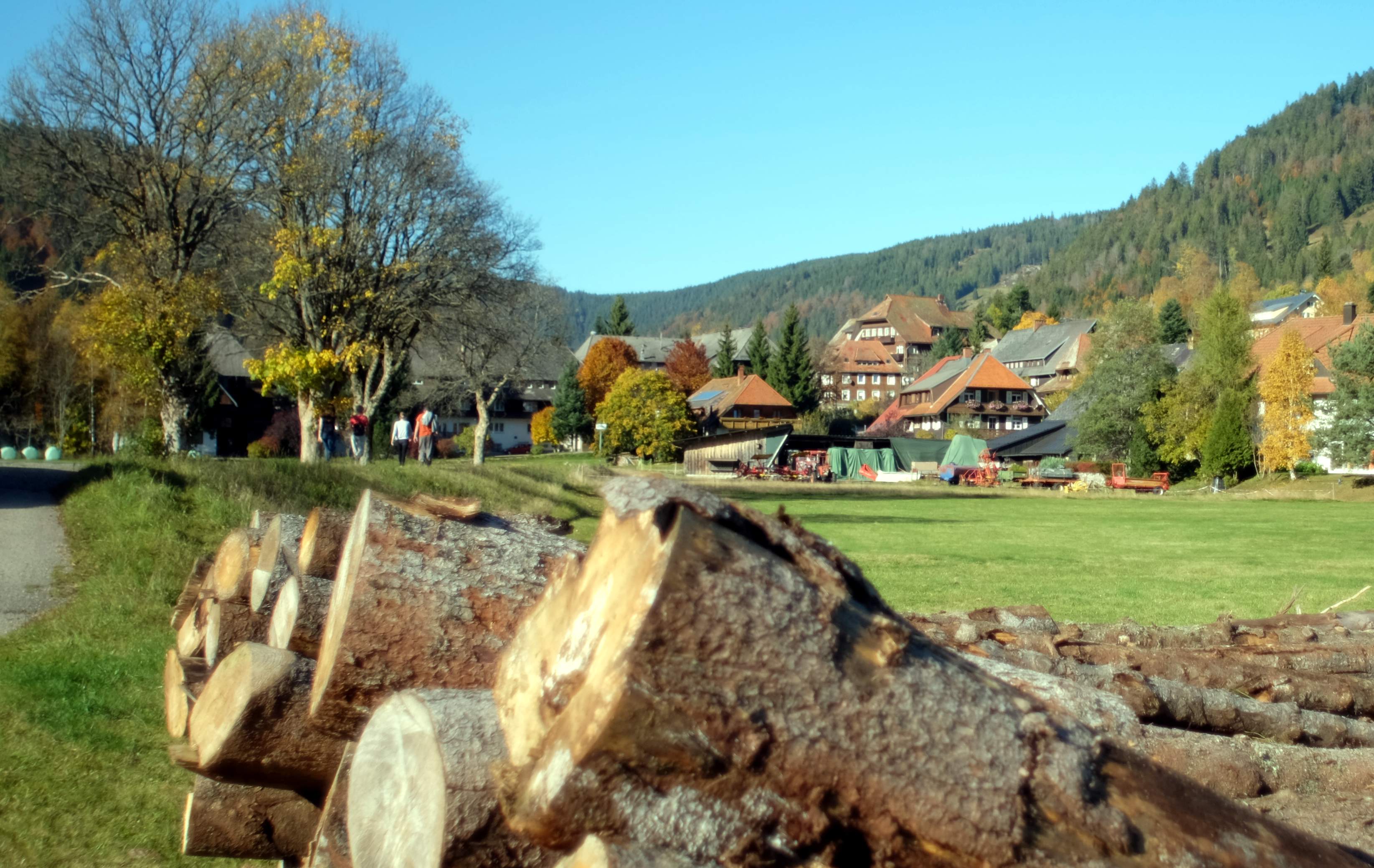 Menzenschwand Ferienwohnung im Schwarzwald